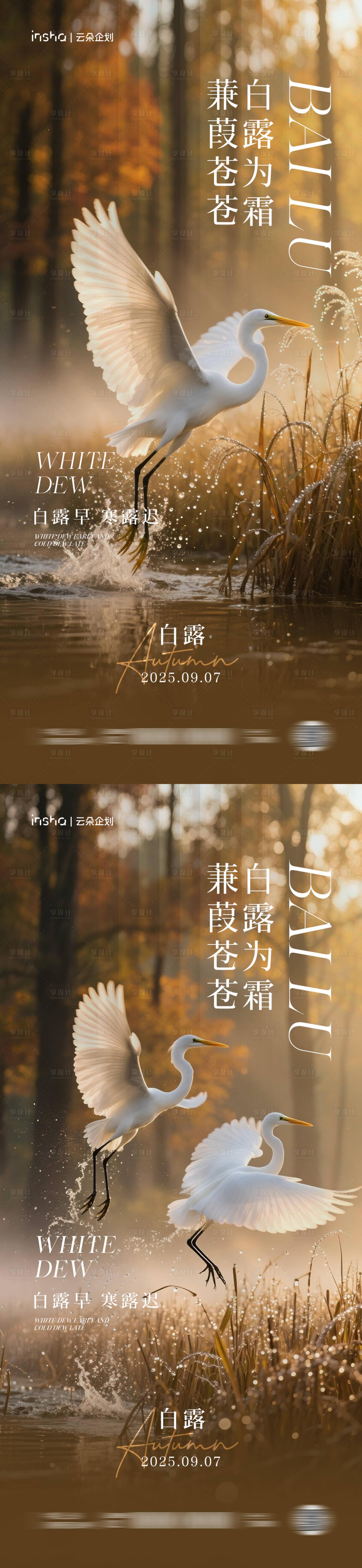 源文件下载【享设计】搜索编号：82010032706405777【白露节气海报】