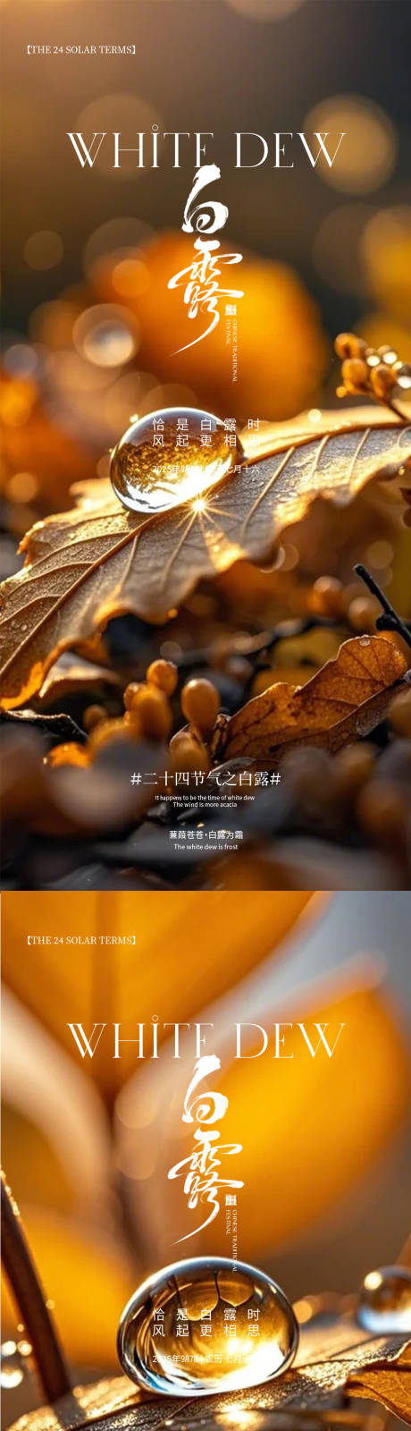 源文件下載【享設計】搜索編號：49310032825281679【白露海報】