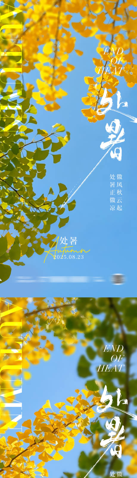 源文件下載【享設計】搜索編號：81260032393162833【處暑節氣銀杏海報】