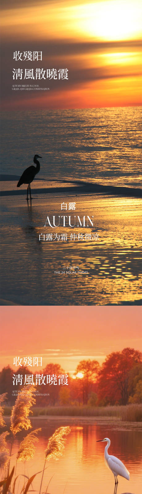 源文件下載【享設計】搜索編號：62560032825314766【白露海報】