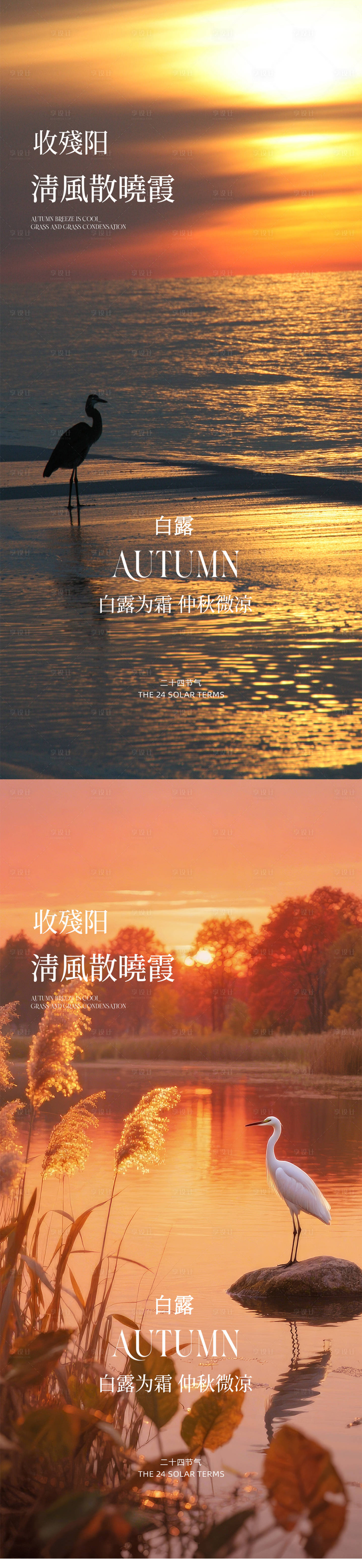 源文件下载【享设计】搜索编号：62560032825314766【白露海报】