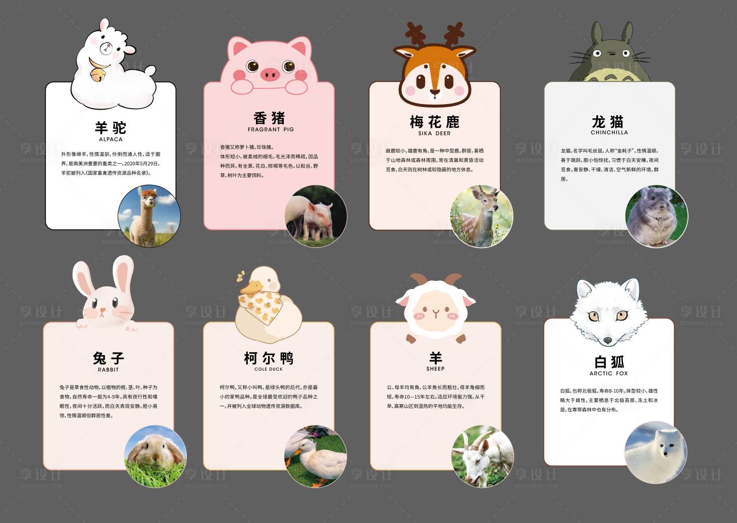源文件下載【享設(shè)計(jì)】搜索編號(hào)：16520032384701121【動(dòng)物介紹系列海報(bào)】