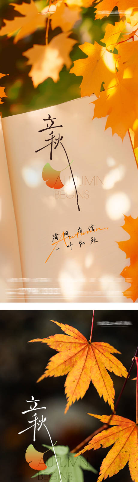 源文件下载【立秋节气系列海报】编号：14420032354883558