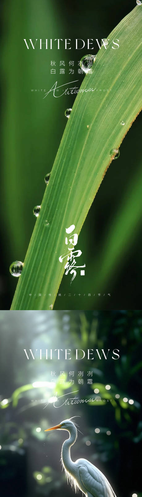 源文件下载【享设计】搜索编号：61380032825847884【白露海报】