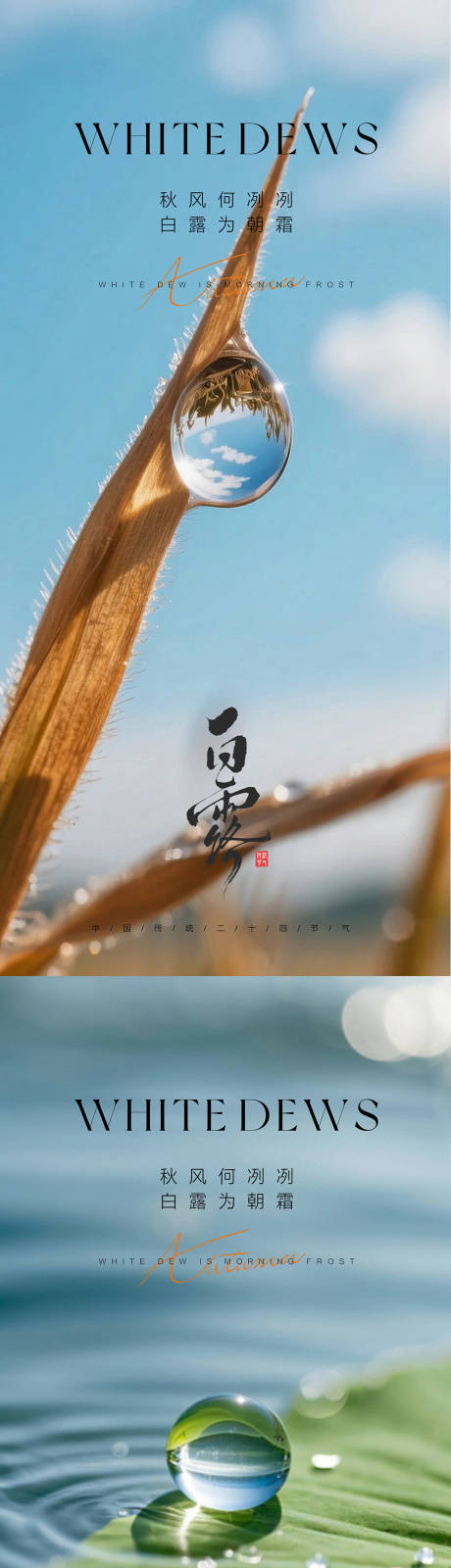 源文件下載【享設計】搜索編號：62210032825329220【白露海報】