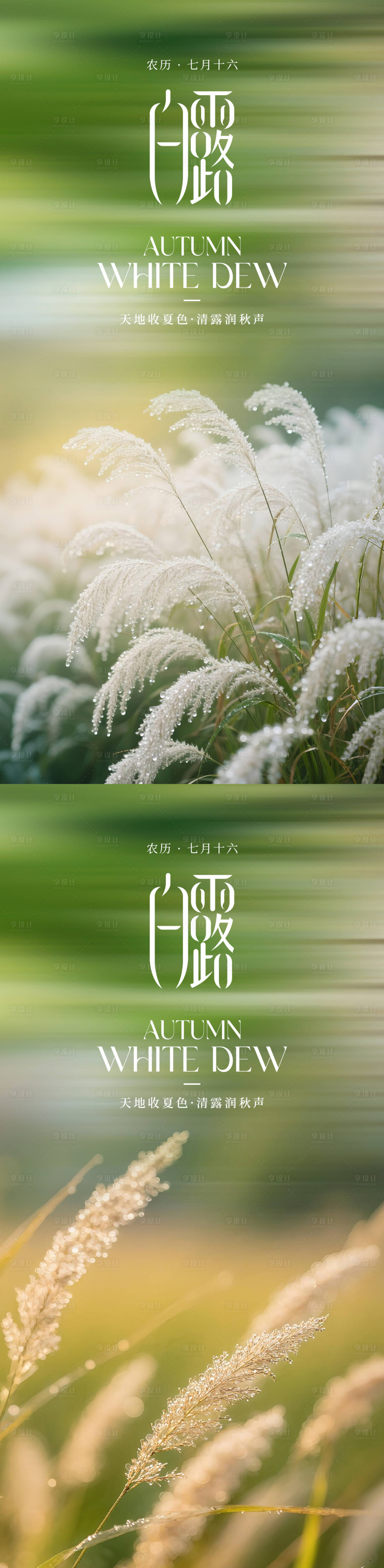 源文件下载【享设计】搜索编号：13970032694711932【白露节气系列海报】