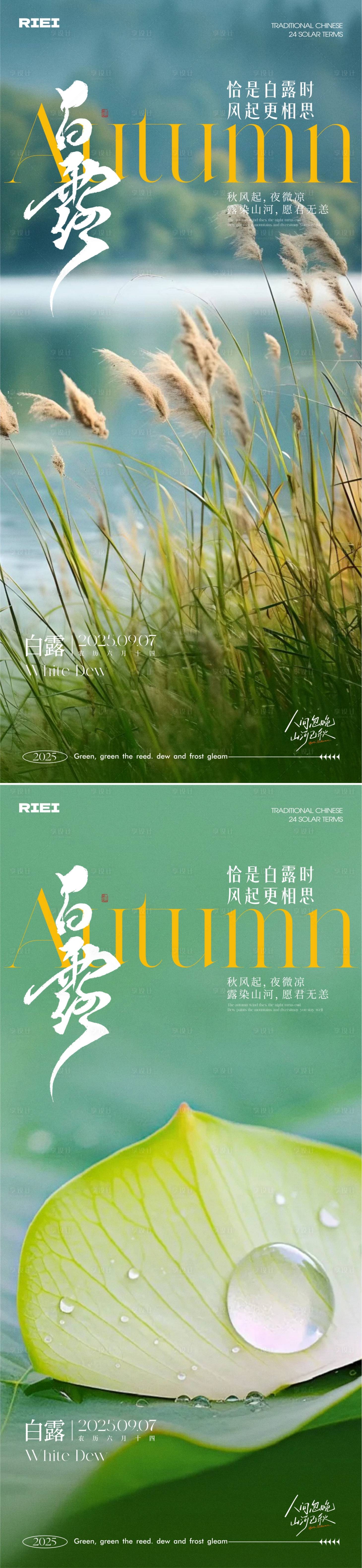 源文件下载【享设计】搜索编号：46680032379108641【白露节气系列海报】