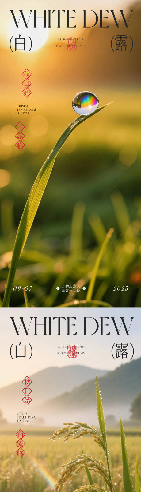 源文件下載【享設(shè)計】搜索編號：97340032825301161【白露海報】