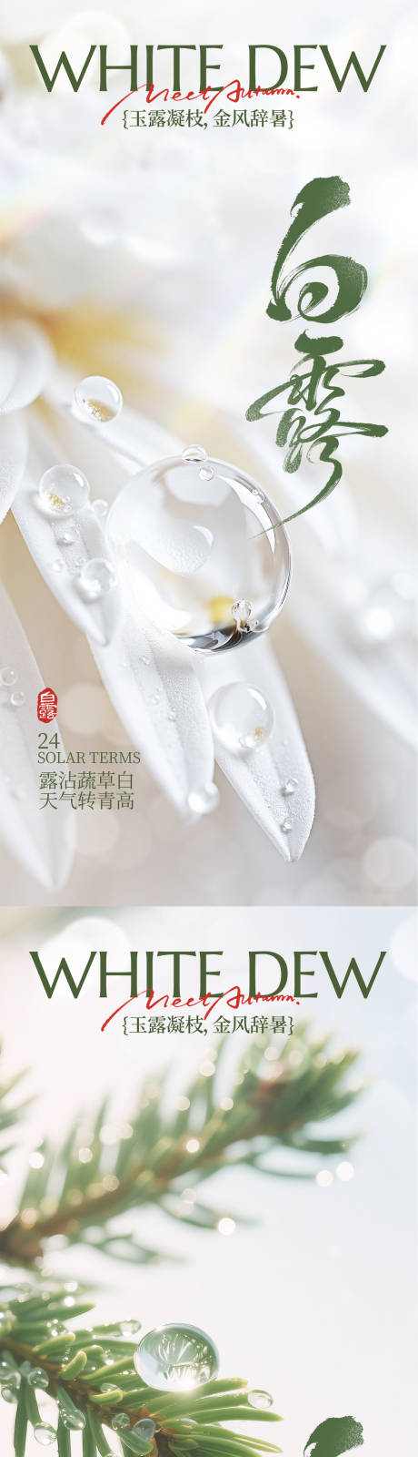 源文件下载【享设计】搜索编号：13720032821284543【白露节气系列海报】