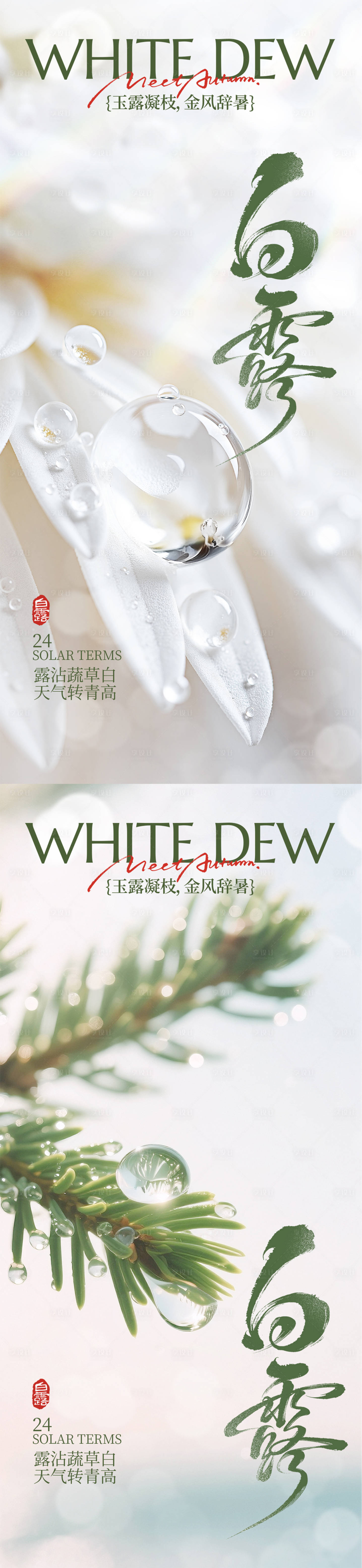 源文件下载【享设计】搜索编号：13720032821284543【白露节气系列海报】