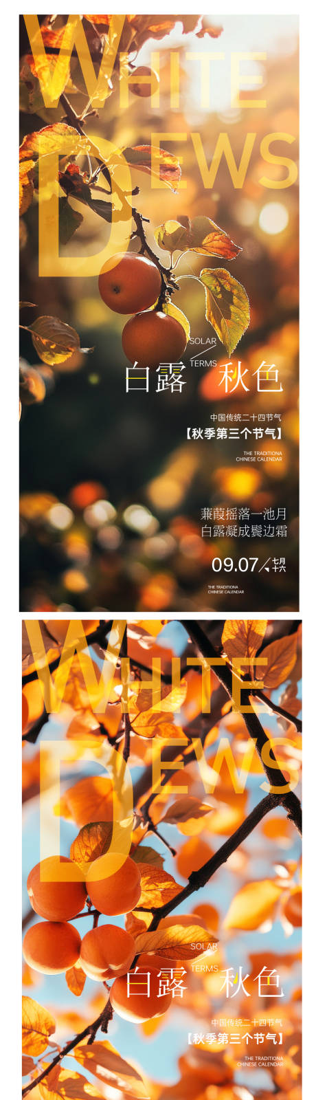 源文件下载【白露海报】编号：82430032278685612