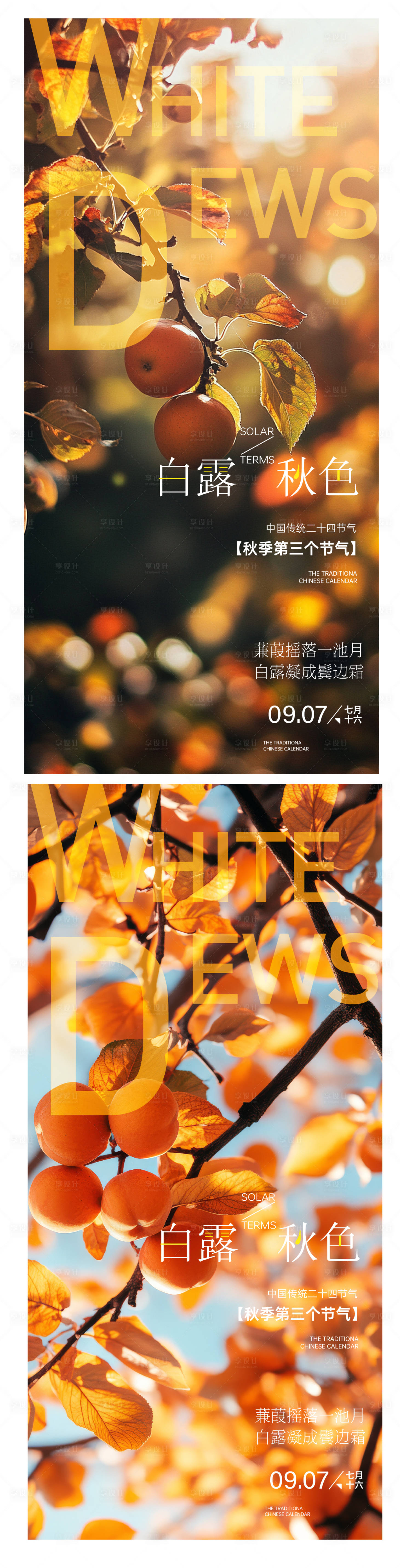 源文件下载【享设计】搜索编号：82430032278685612【白露海报】