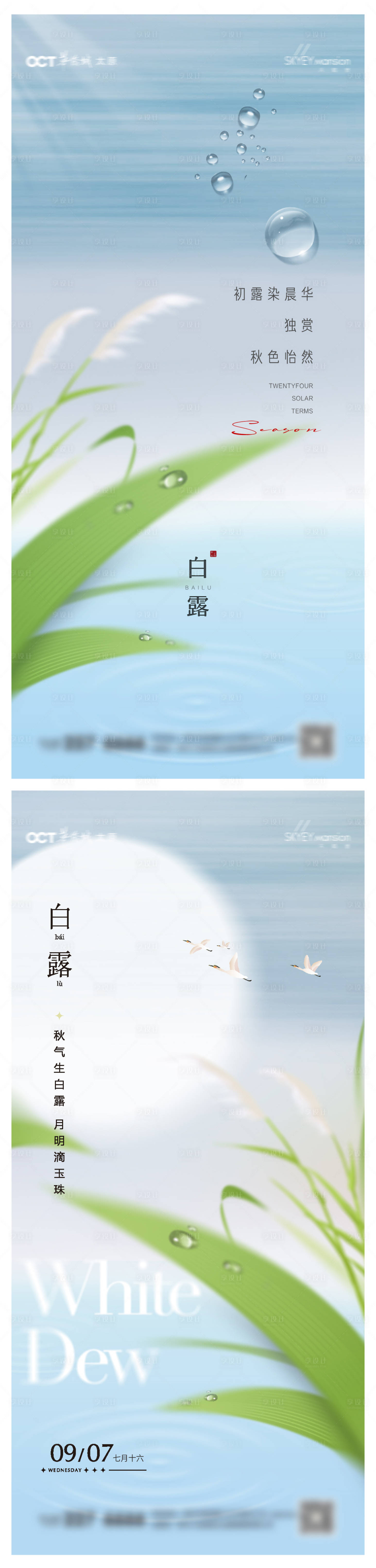 源文件下載【享設計】搜索編號：57000032568722364【白露系列海報】