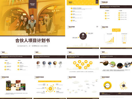 棕黄色典雅商务项目书