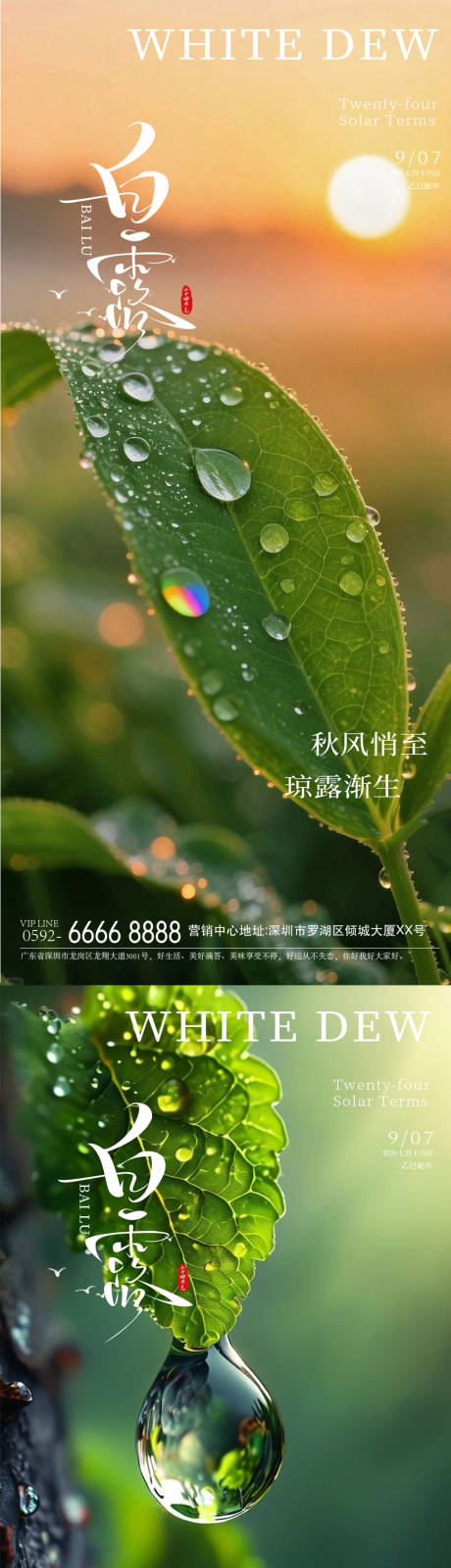 源文件下載【享設(shè)計(jì)】搜索編號(hào)：53150032825853310【白露海報(bào)】