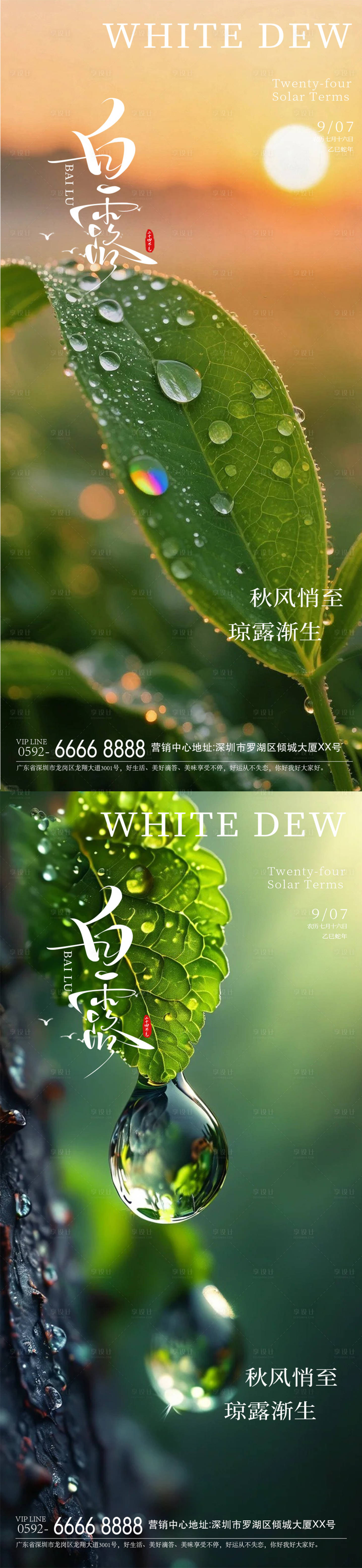 源文件下載【享設(shè)計(jì)】搜索編號(hào)：53150032825853310【白露海報(bào)】