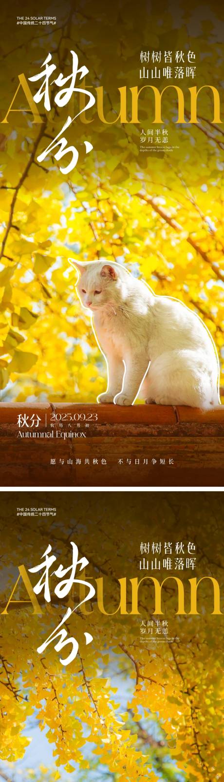 源文件下載【享設計】搜索編號：26020032637407756【秋分節氣海報】