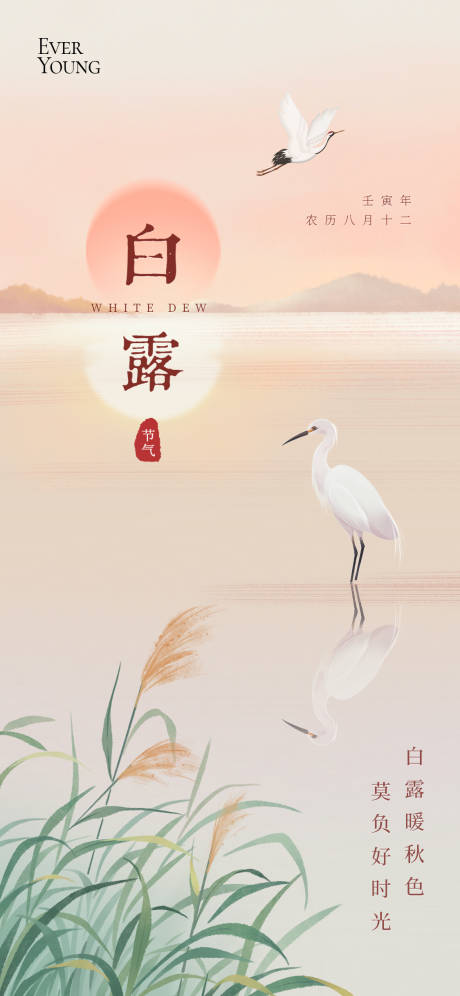 源文件下载【享设计】搜索编号：97640032813262509【24节气白露海报】