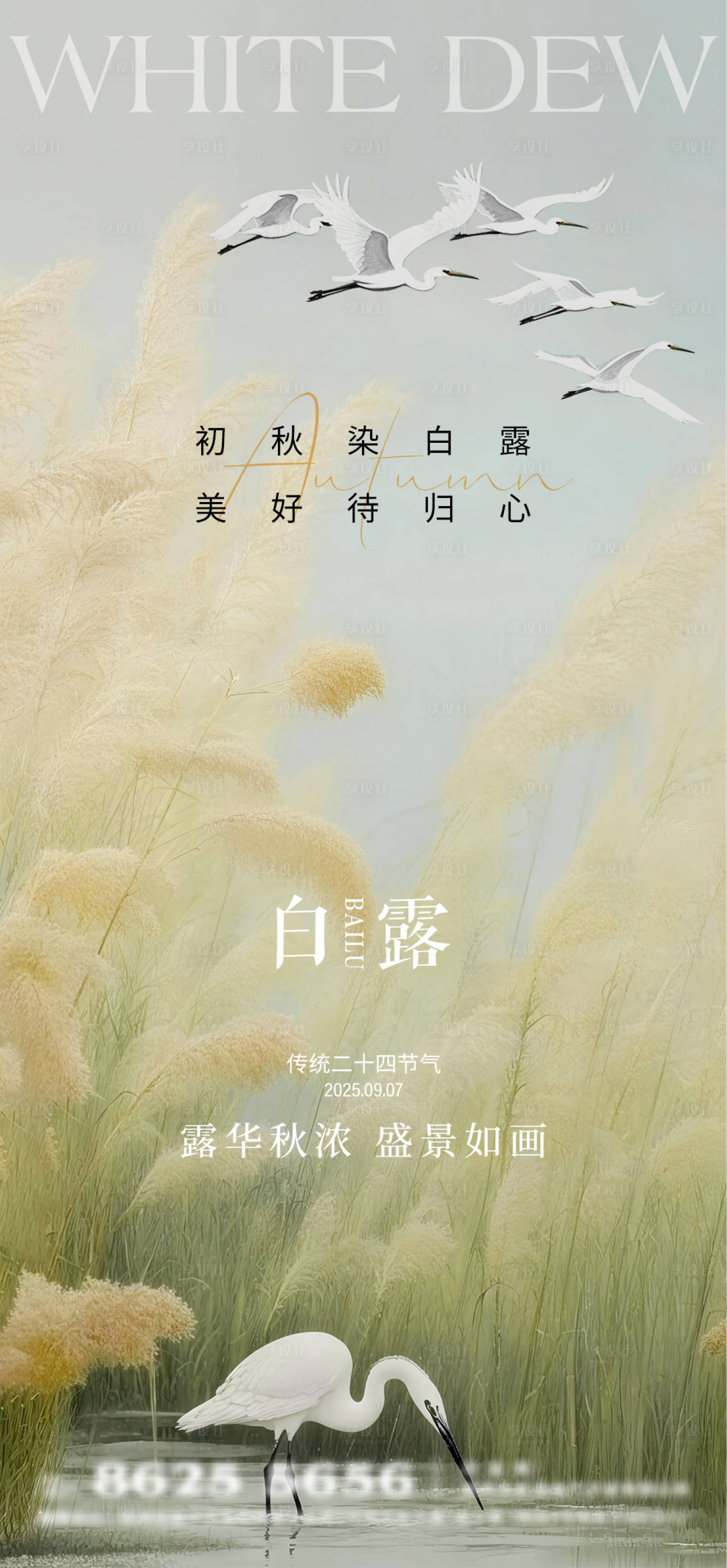 源文件下載【享設計】搜索編號：40500032613018760【白露節氣海報】