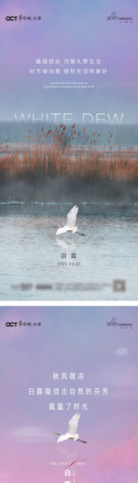 源文件下载【享设计】搜索编号：28280032744593100【白露系列海报】