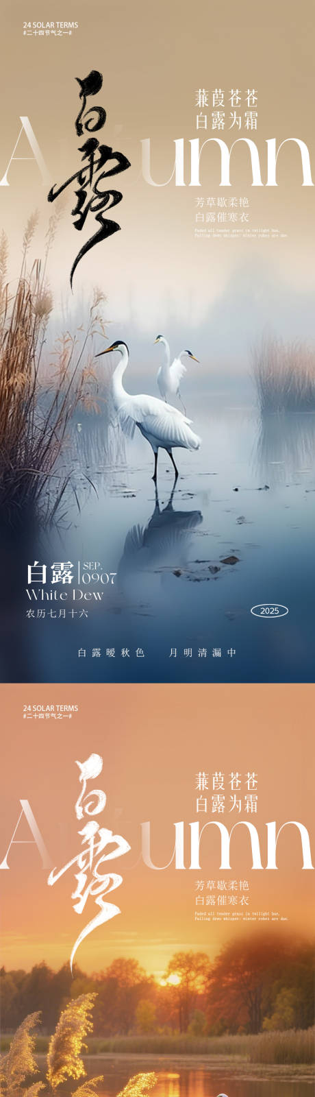 源文件下载【享设计】搜索编号：22810032814922443【白露节气系列海报】