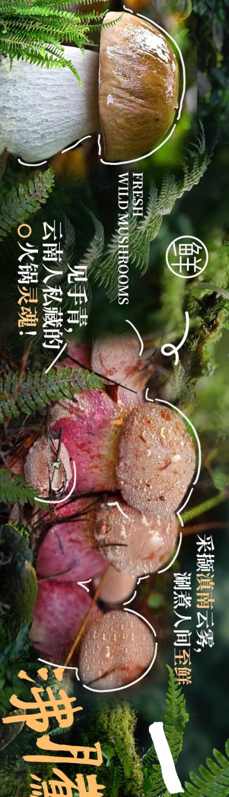 源文件下载【享设计】搜索编号：36820033186884464【云南菌子山野风商户通五图设计海报】