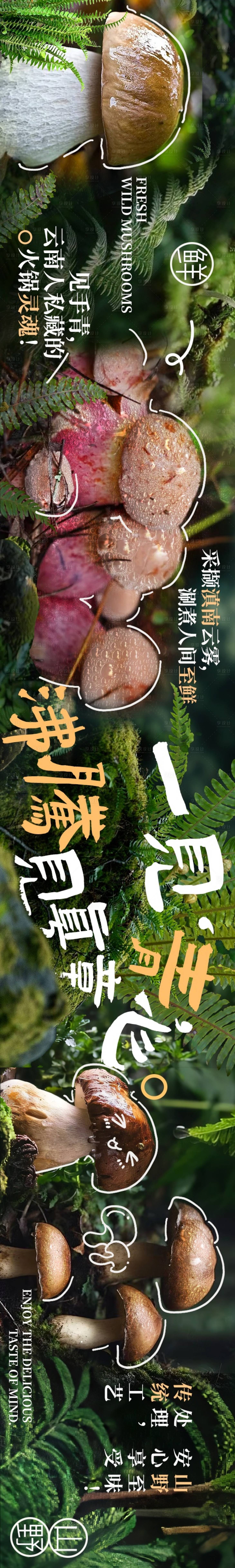 源文件下载【享设计】搜索编号：36820033186884464【云南菌子山野风商户通五图设计海报】