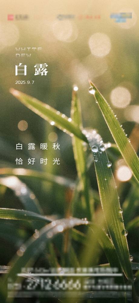 源文件下载【享设计】搜索编号：19570032882726582【白露】