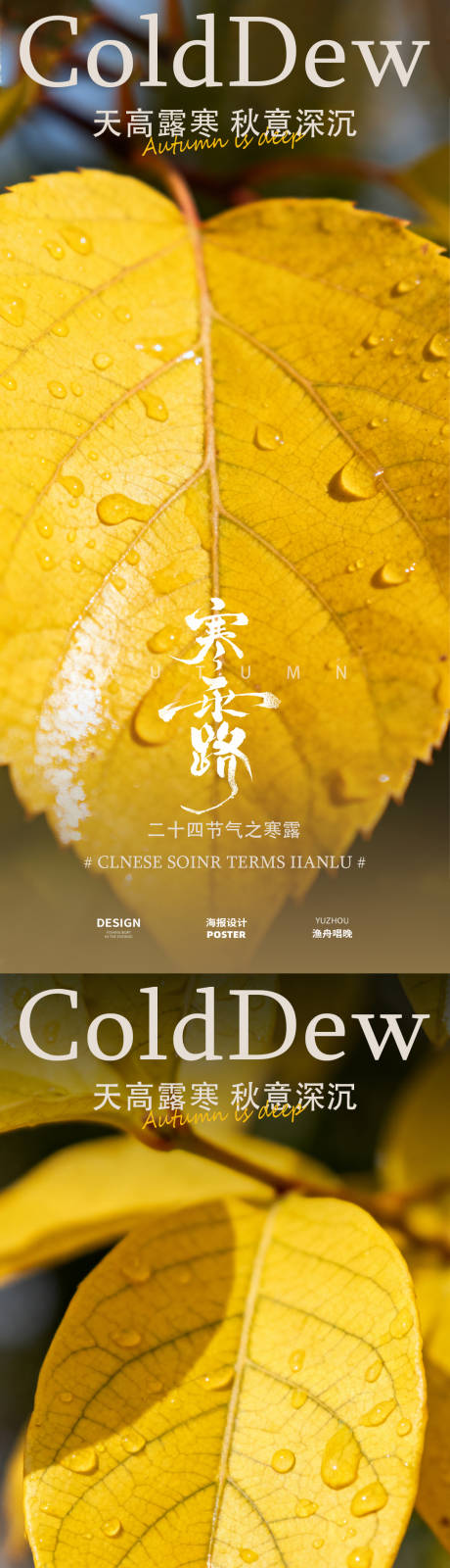 源文件下载【享设计】搜索编号：45870033337676298【寒露二十四节气海报】