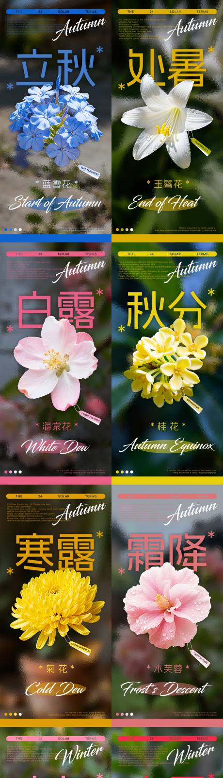 源文件下载【享设计】搜索编号：44510033290301050【24节气花卉海报】