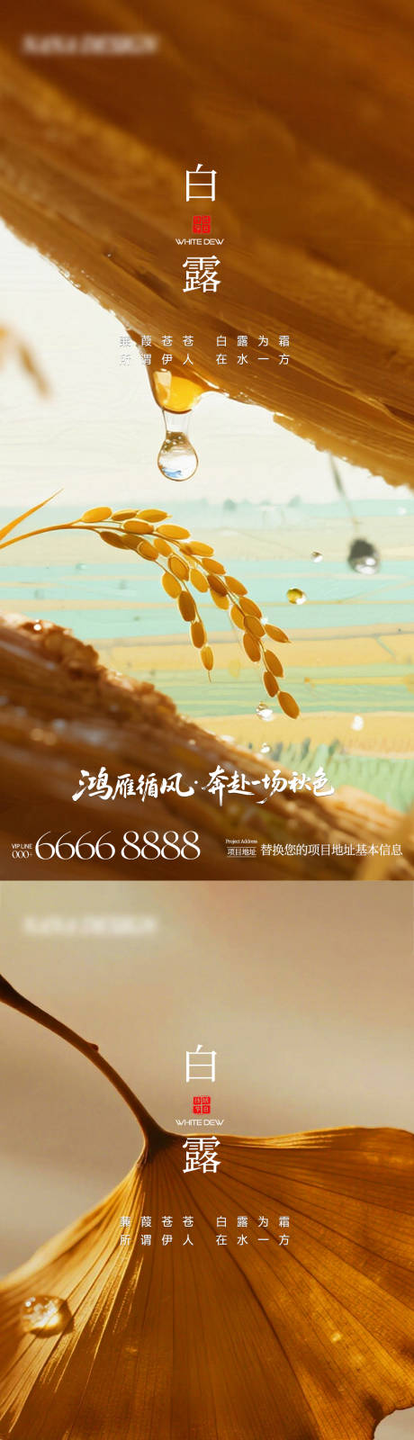 源文件下载【享设计】搜索编号：14160032830578022【地产白露海报】