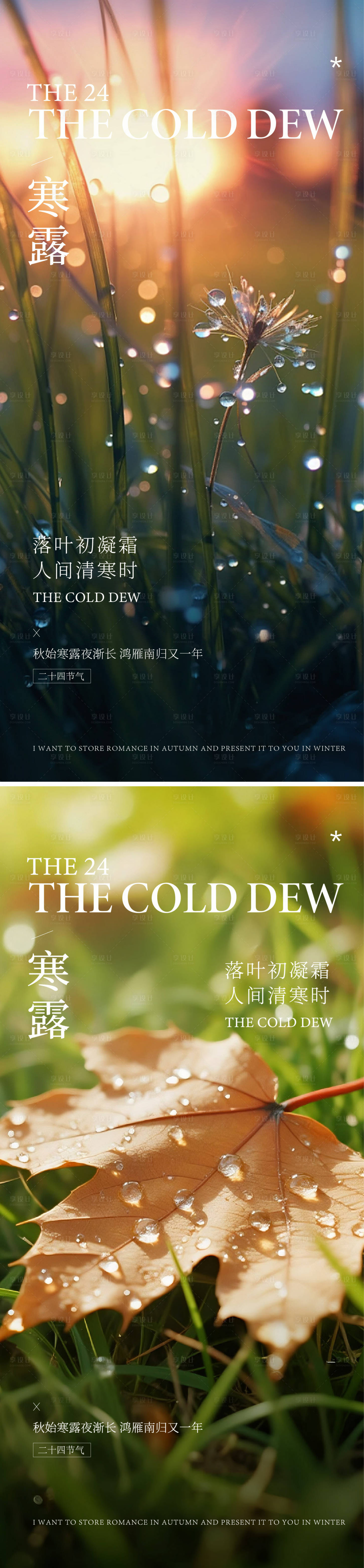 源文件下載【享設計】搜索編號：93760032968227838【寒露海報】
