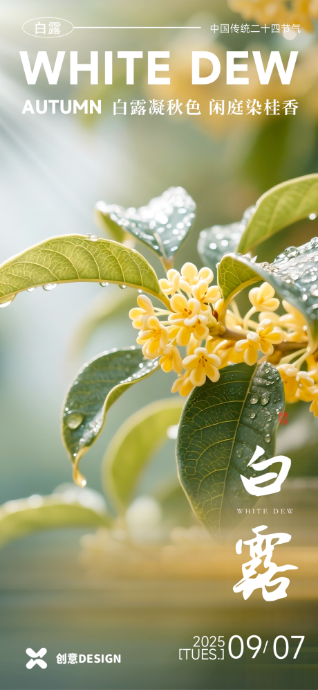 源文件下载【享设计】搜索编号：77330032934714763【白露节气海报】