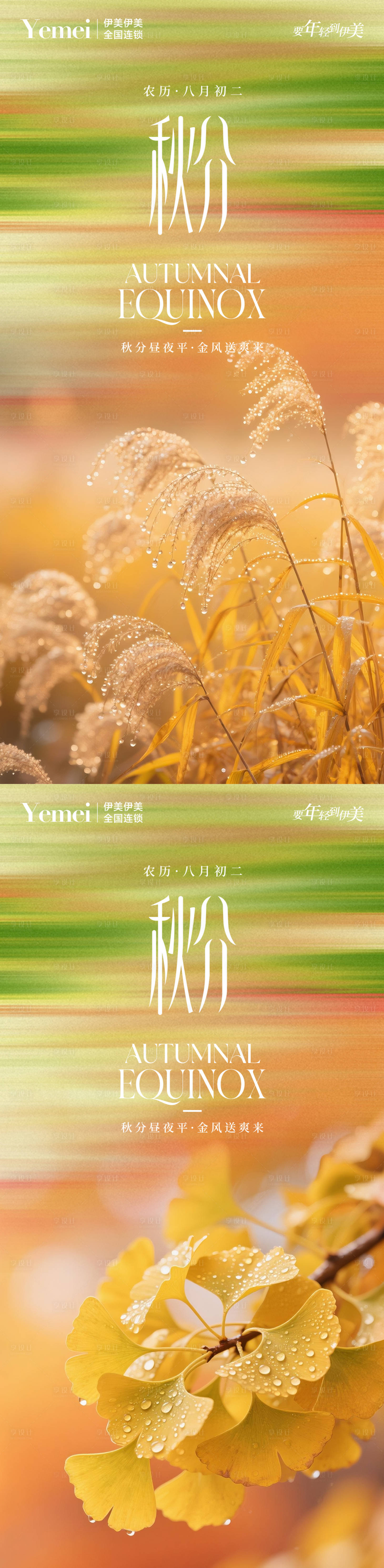 源文件下载【享设计】搜索编号：18760032842441484【秋分节气系列海报】