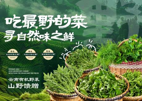 源文件下載【享設計】搜索編號：62410033052223586【野菜季臺卡】