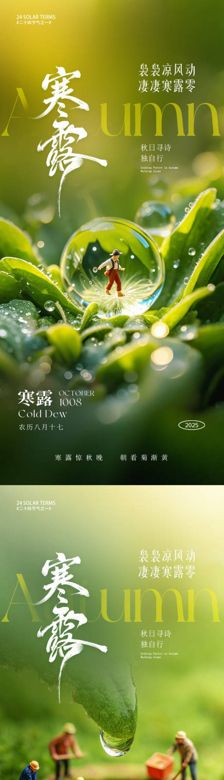 源文件下载【享设计】搜索编号：53010033335029064【寒露节气海报】