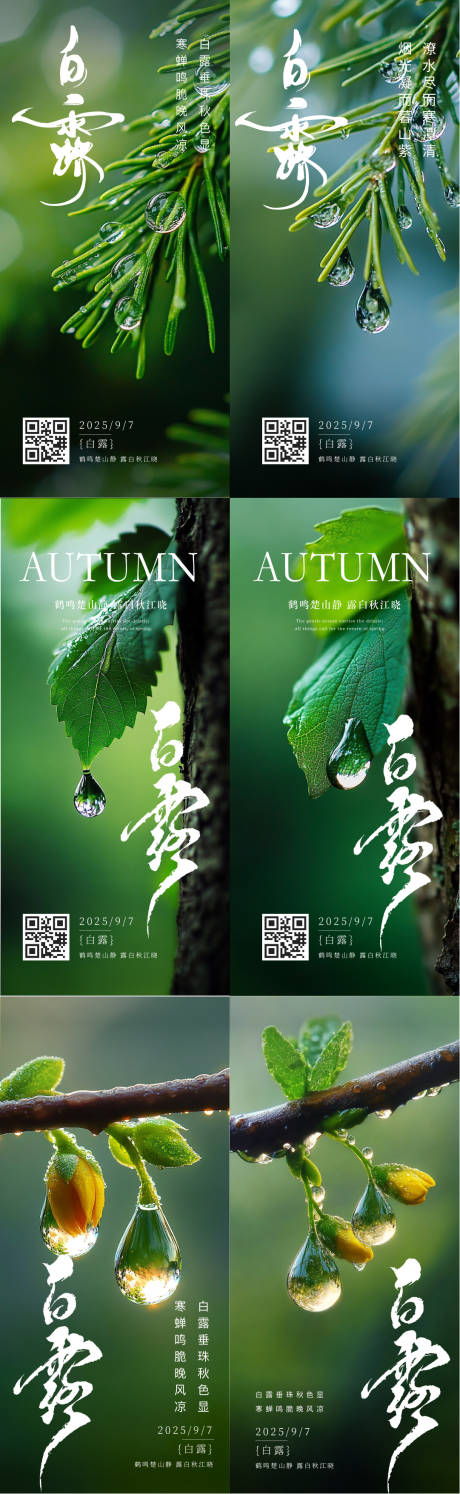 源文件下載【享設計】搜索編號：85160032924286778【白露秋分寒露實景節氣海報】