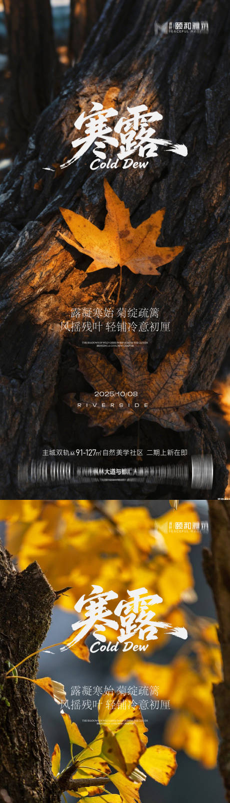 源文件下载【享设计】搜索编号：88400033286824721【寒露节日节气海报】