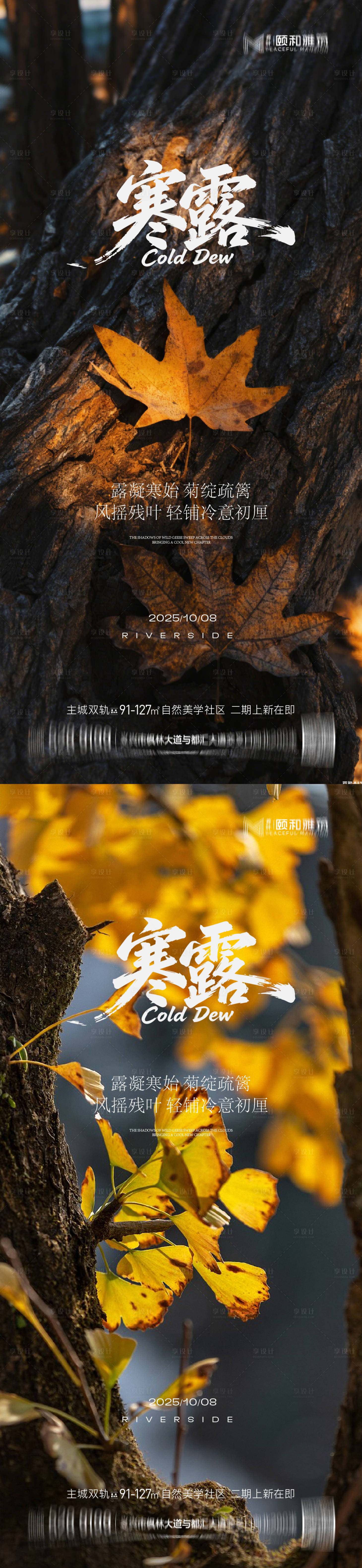 源文件下载【享设计】搜索编号：88400033286824721【寒露节日节气海报】