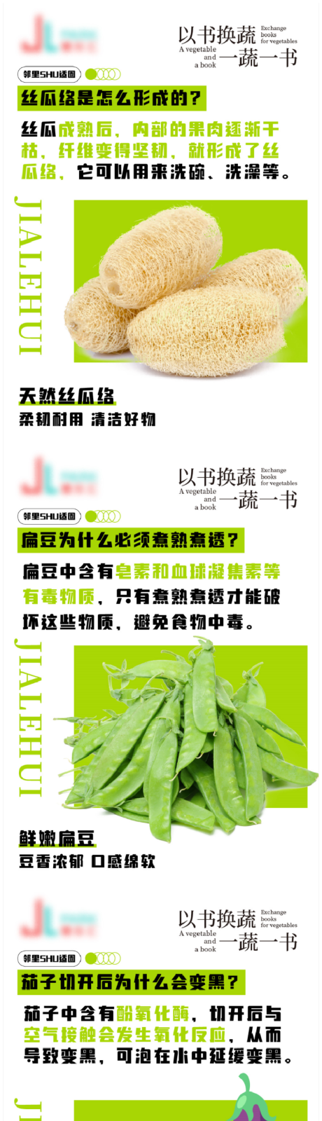 源文件下载【享设计】搜索编号：45830033081056208【商场蔬菜活动趣味知识点设计】