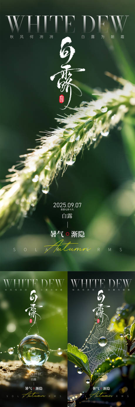 源文件下載【享設計】搜索編號：81080032918614293【白露】