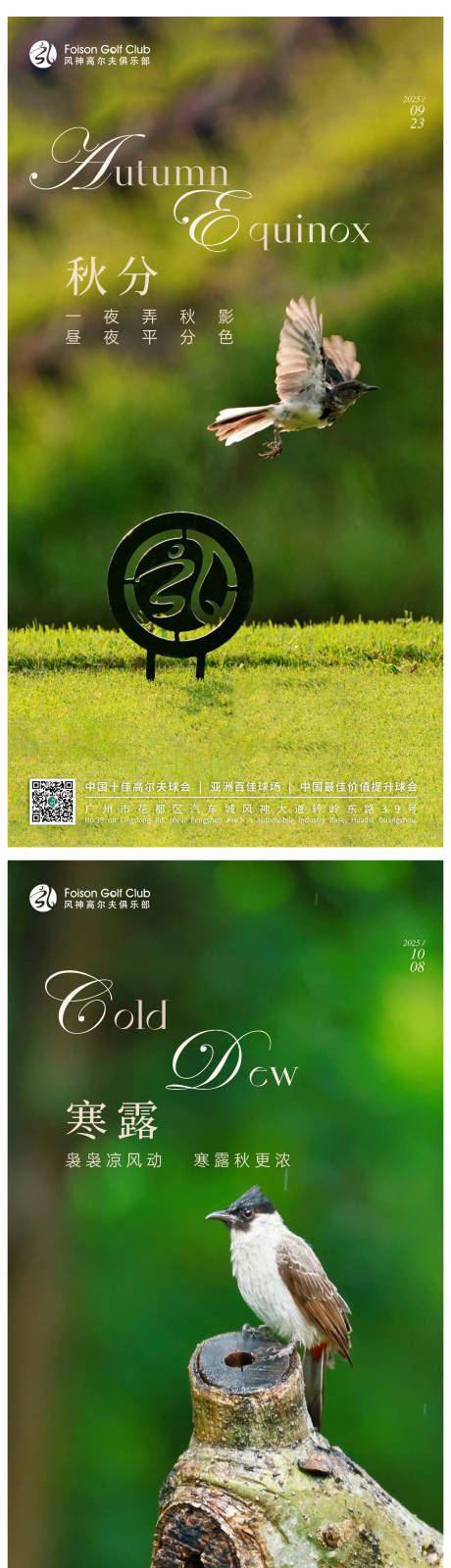 源文件下载【享设计】搜索编号：46670033223226329【鸟类节气海报】