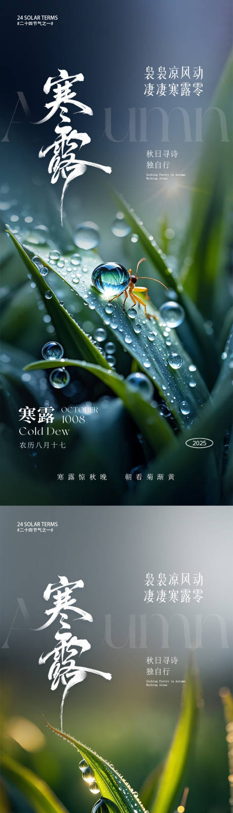 源文件下载【享设计】搜索编号：49620033329741317【寒露节气海报】