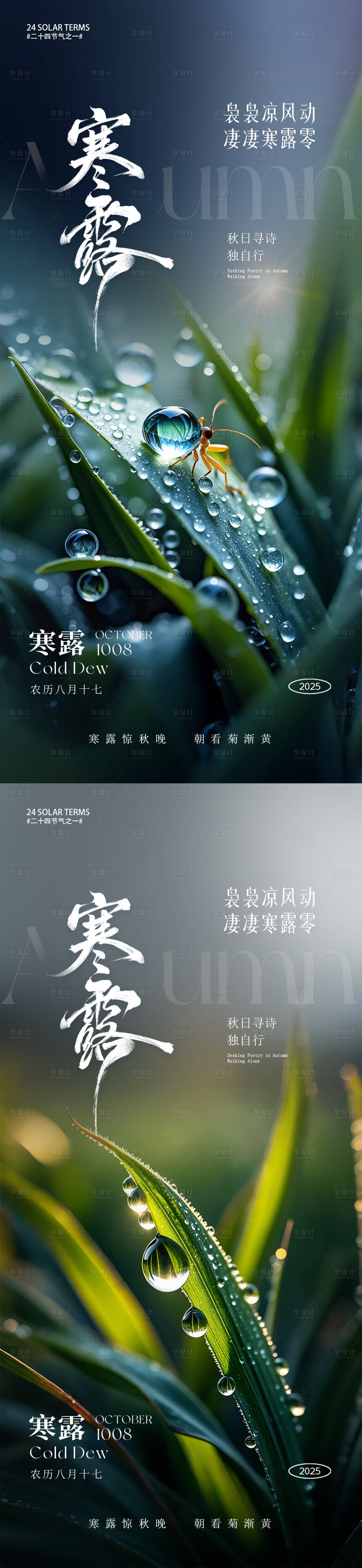 源文件下载【享设计】搜索编号：49620033329741317【寒露节气海报】