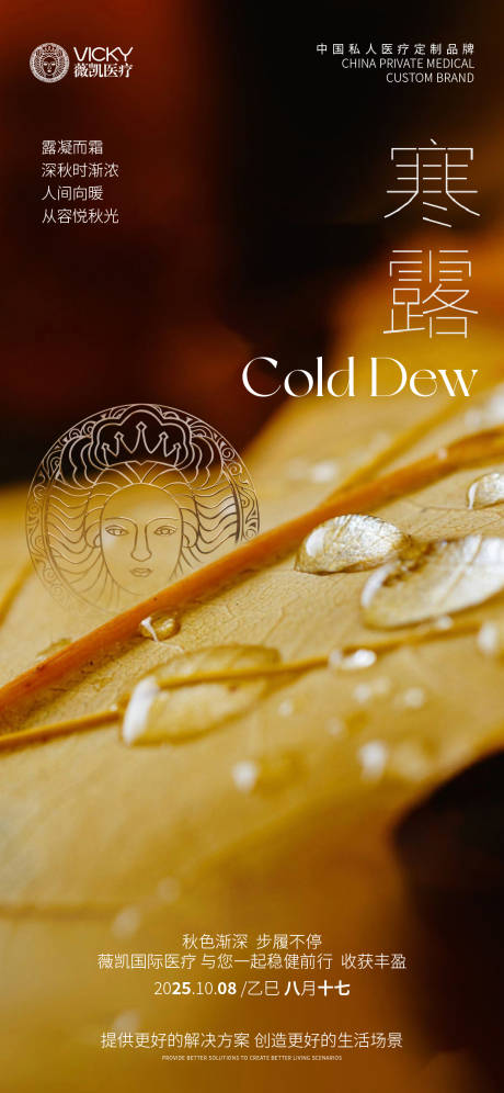 源文件下载【享设计】搜索编号：85190033333385576【医美寒露海报】