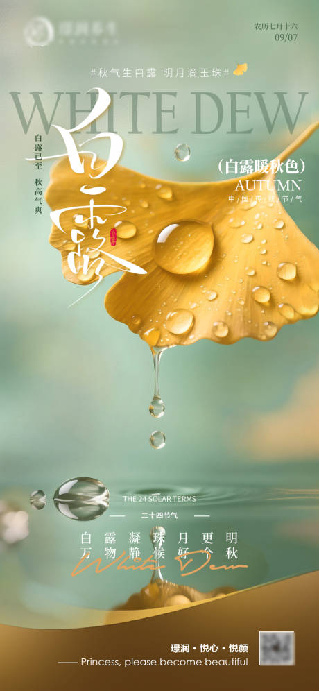 源文件下载【享设计】搜索编号：29380032913458664【医美白露节气海报】
