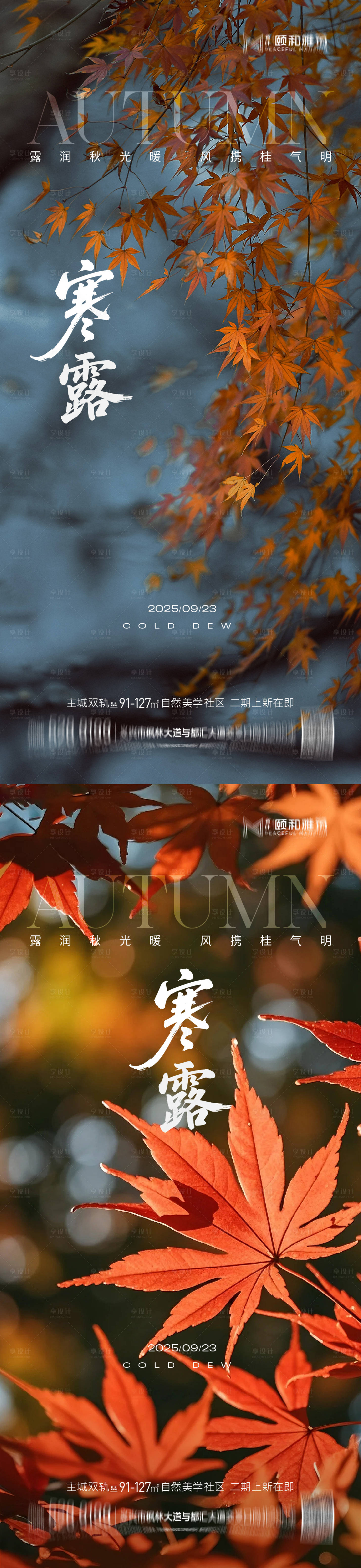 源文件下载【享设计】搜索编号：90530033296652513【寒露海报】