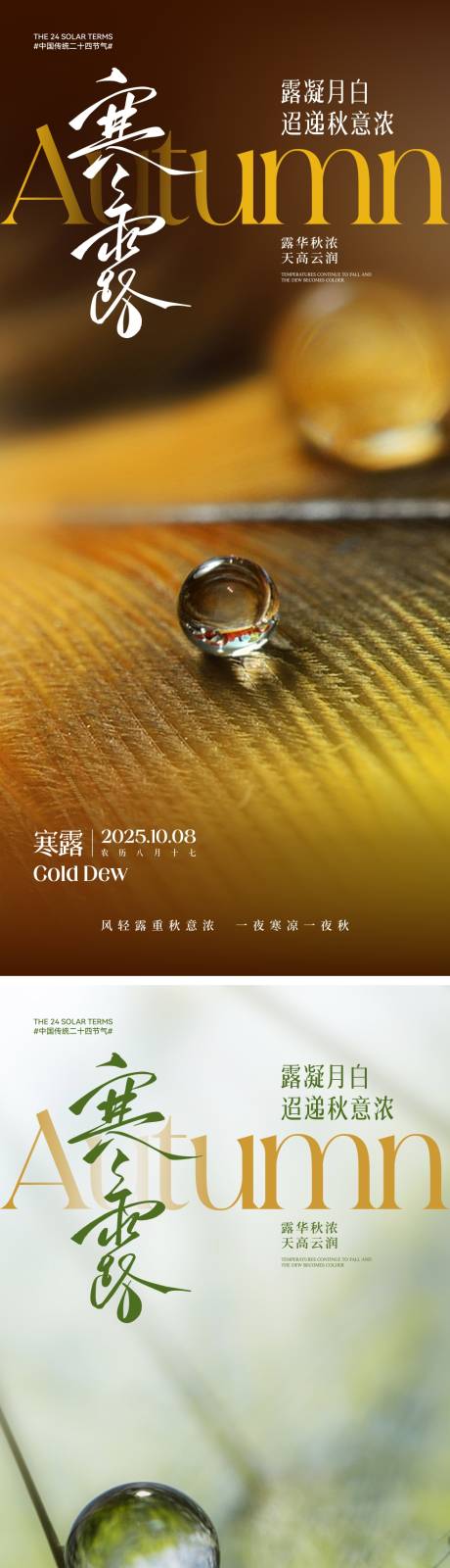 源文件下載【享設(shè)計】搜索編號：64700033091152435【寒露節(jié)氣系列海報】