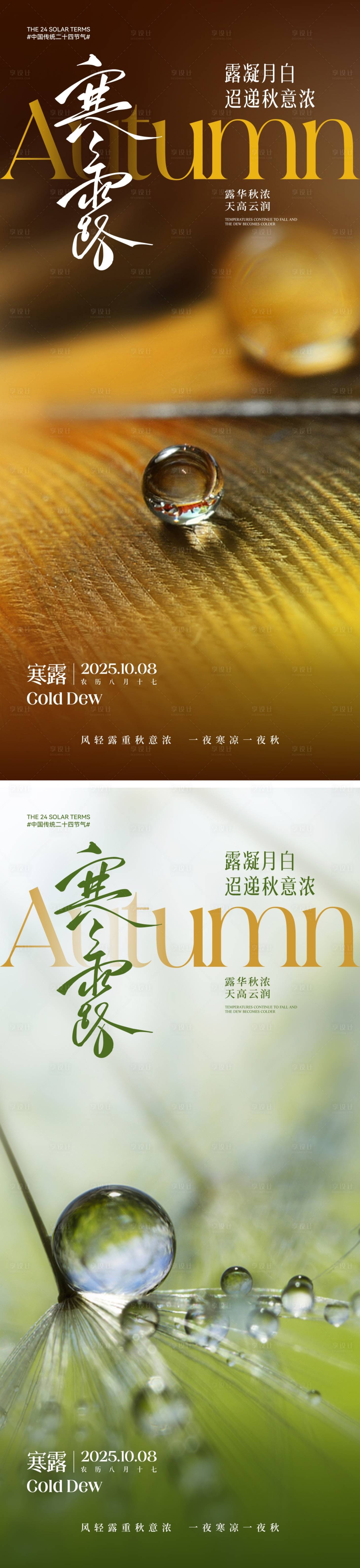 源文件下載【享設計】搜索編號：64700033091152435【寒露節氣系列海報】