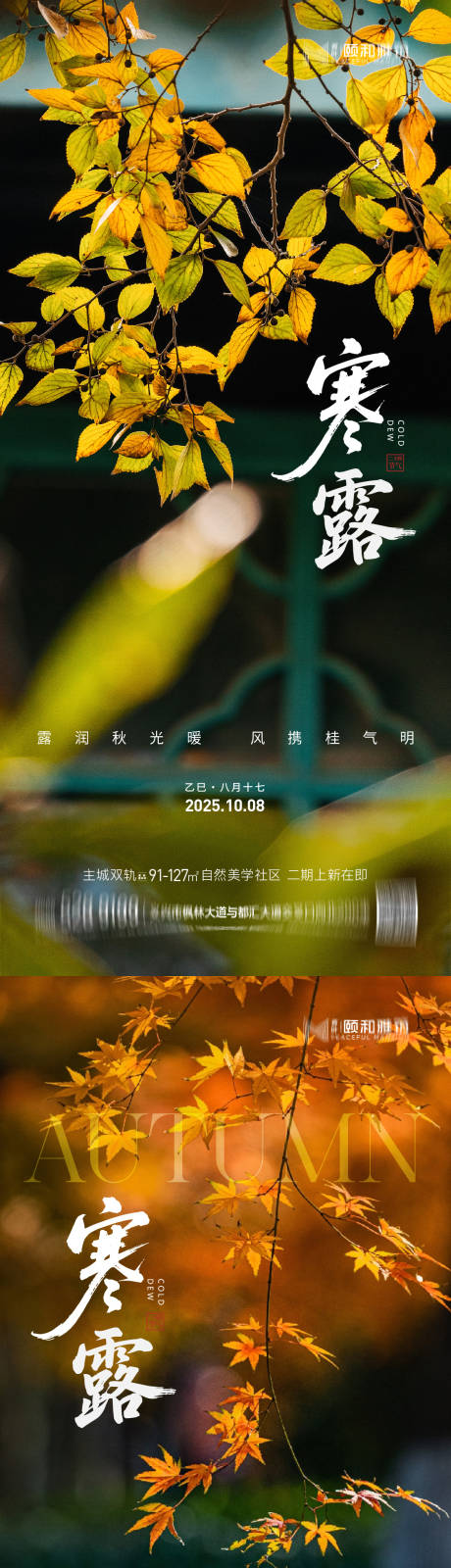 源文件下载【享设计】搜索编号：19570033312472570【2025 寒露节日节气海报】